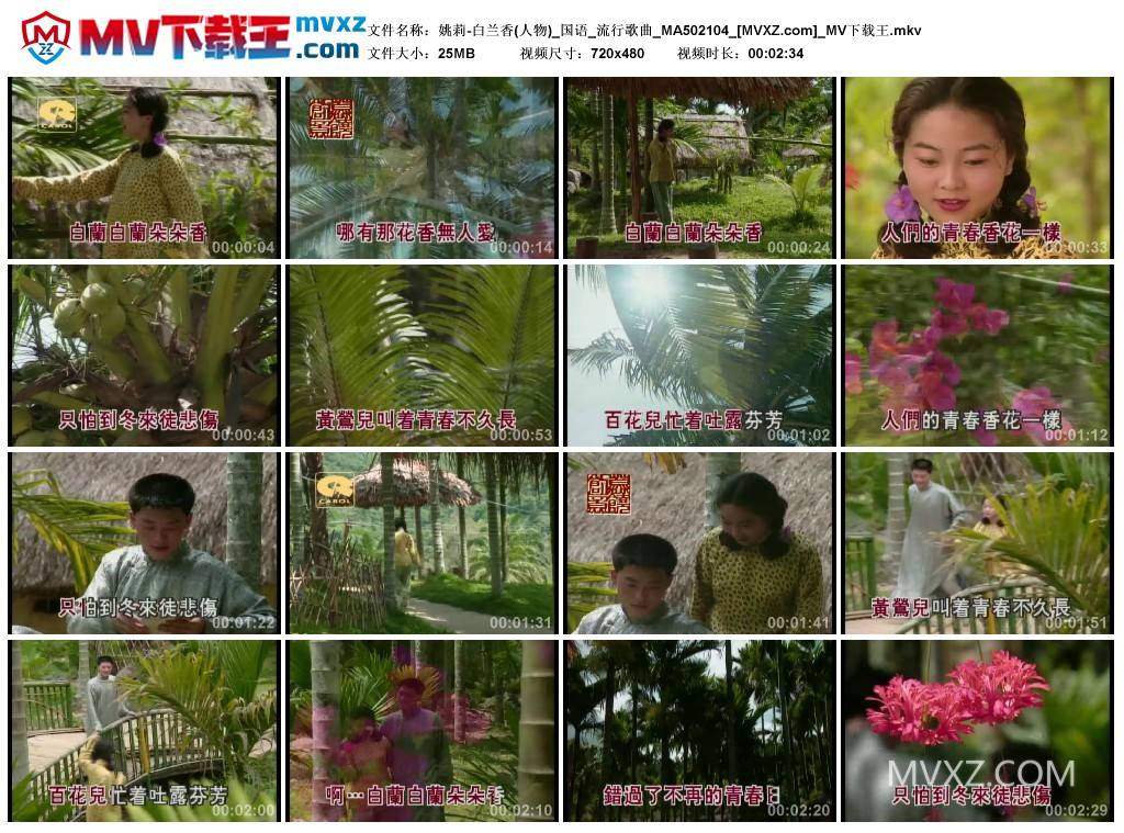 姚莉-白兰香(人物)_国语_流行歌曲_MA502104